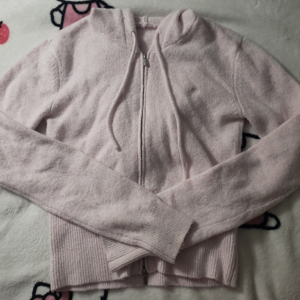 Victoria's Secret PINK hoodie